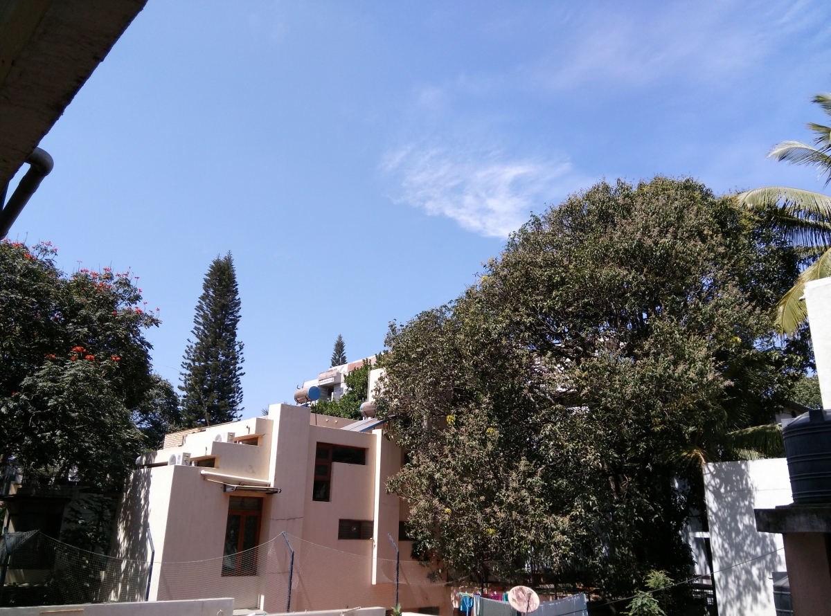 Yu Yureka Image Sample -3