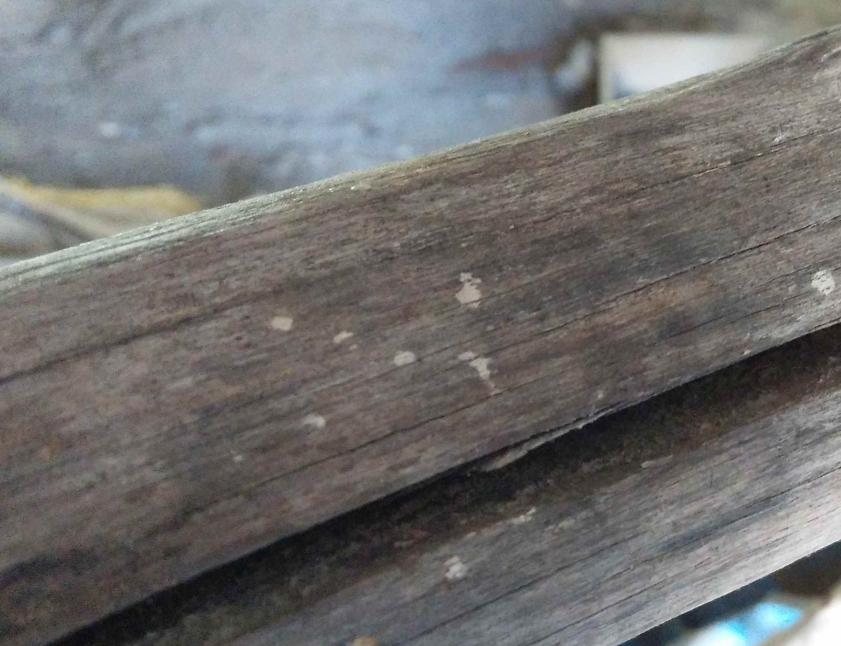 Yu Yureka Image Sample - 4