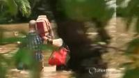 monsoon-brings-flooding-misery-to-jakarta