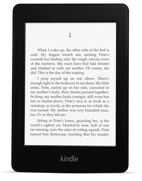 Amazon New KindlePaperWhite 3G e-reader