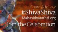 shiva-ya-celebrating-the-coolest-official-video