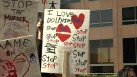 japan-dolphin-hunt-protest