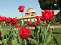 president-opens-rashtrapati-bhavans-udyanotsav