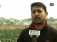 strawberry-farming-proves-to-be-a-big-hit-in-west-bengal