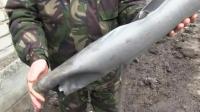 shelling-could-mean-ceasefire-violations