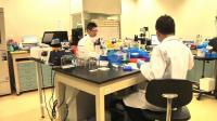 30-minute-saliva-test-for-dengue