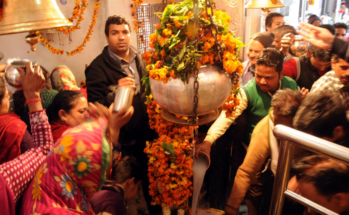 Maha Shivratri 2015: Devotees Offer Prayers to Lord Shiva in Pictures Maha Shivratri 2015: Devotees Offer Prayers to Lord Shiva in Pictures