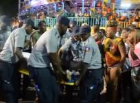 Haitian carvinal 2015
