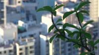 hong-kong-property-hits-record-high