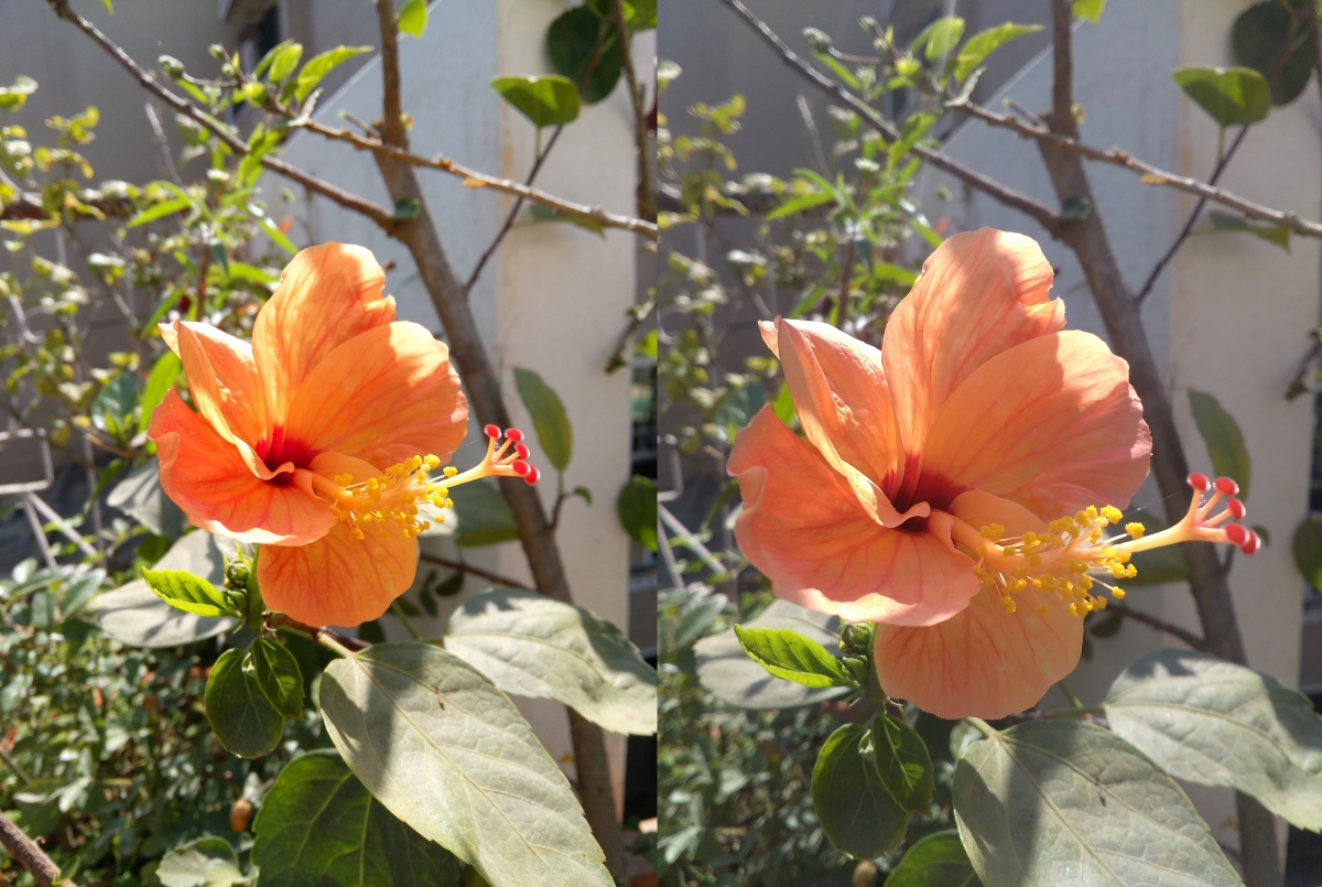 Yu Yureka vs Lenovo A6000 Image Sample- 1 Yu Yureka vs Lenovo A6000 Image Sample-