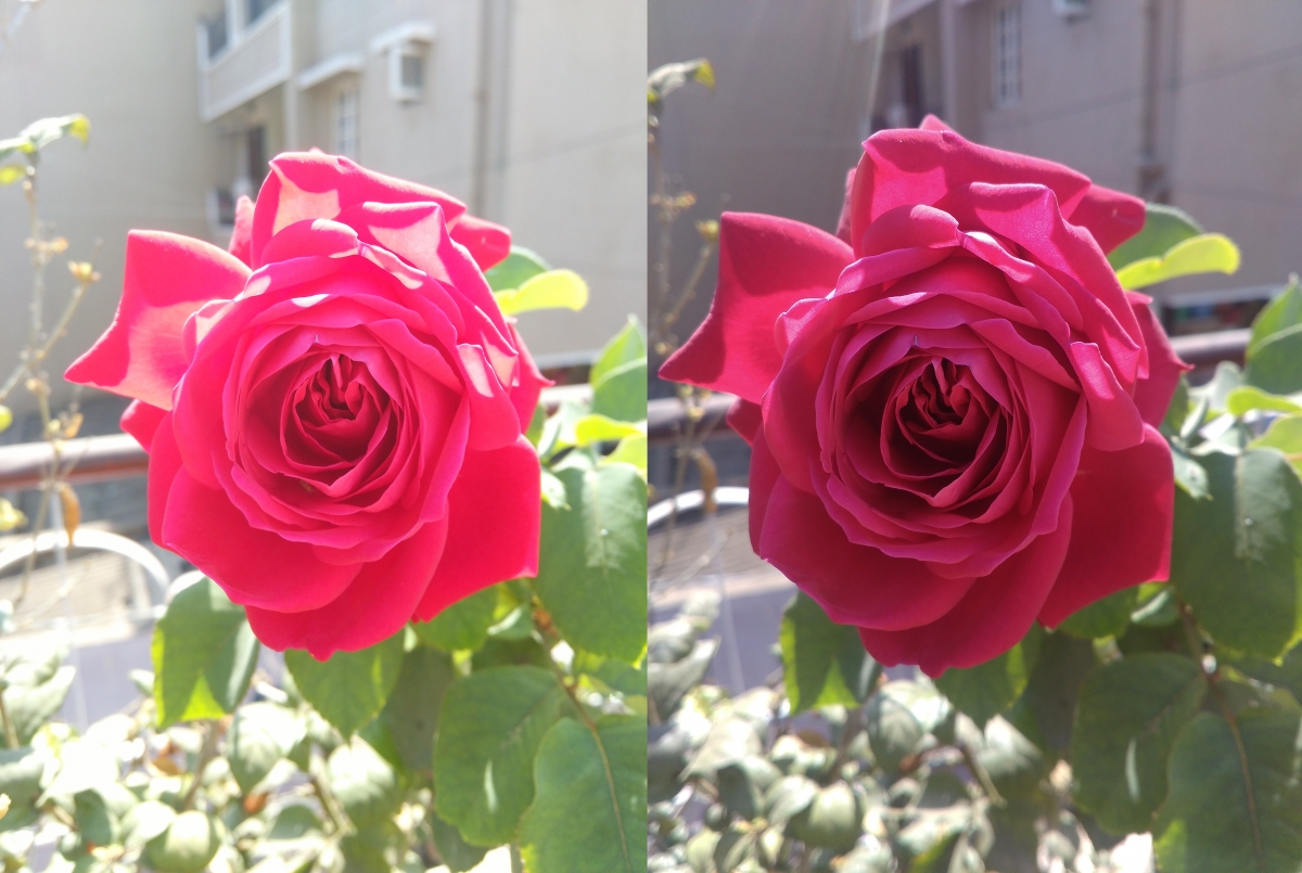 Yu Yureka vs Lenovo A6000 Image Sample- 2 Yu Yureka vs Lenovo A6000 Image Sample- 2