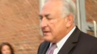 the-case-collapsed-all-by-itself-strauss-kahn-lawyer