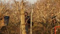 eu-says-no-visa-free-regime-for-kosovo-until-migrant-influx-stops