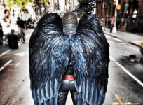 birdman