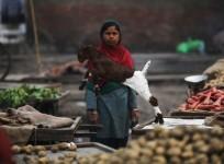Indian Economy