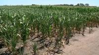 high-noon-for-farmers-and-landlords