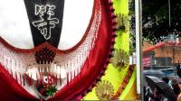 controversial-holy-pig-festival-draws-thousands-in-taiwan