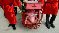 vietnam-pig-slaughtering-festival-comes-under-fire
