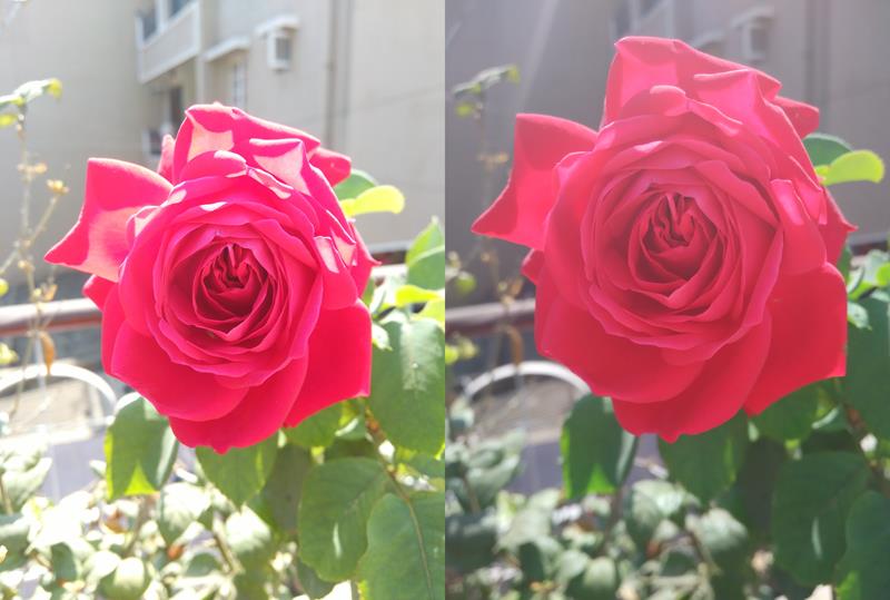Yu Yureka vs Redmi Note 4G Image Sample- 3