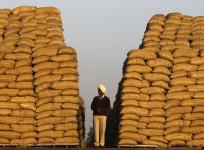 Indian Economy
