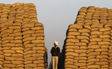 Indian Economy