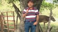 mexico-captures-most-wanted-drug-kingpin-la-tuta
