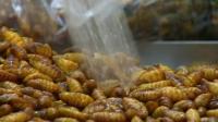 bugs-creep-onto-thai-store-shelves