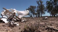 heavy-toll-as-australian-farmers-struggle-through-drought