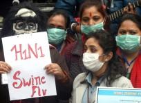 Swine flu
