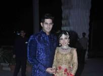 Tulsi Kumar and Hitesh Wedding Reception