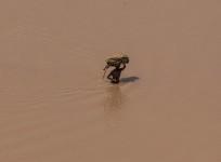 Another round of heavy flooding in areas ranging from Afghanistan, Pakistan and extreme north India has been predicted.