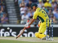 David Warner Australia World Cup