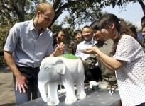 prince-william-calls-for-unified-effort-against-illegal-wildlife-trade