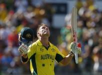 David Warner Australia ICC Cricket World Cup 2015