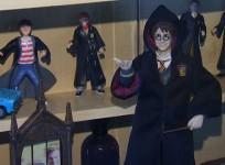 harry-potter-hoard-in-mexico-breaks-guinness-record-for-worlds-biggest