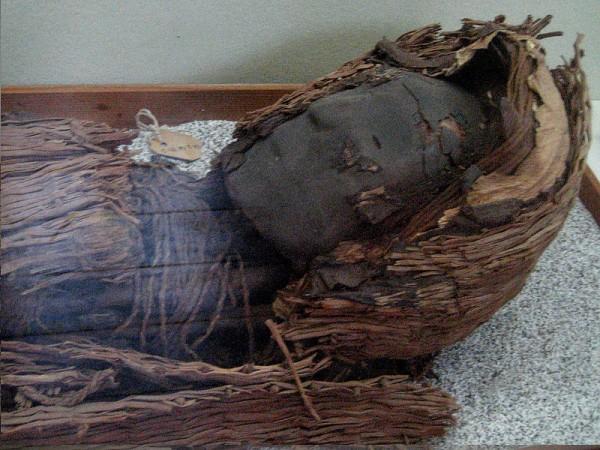 Ancient Chinchorro mummies that have been preserved for over 7,000 years are gradually turning into black ooze. Ancient Chinchorro mummies that have been preserved for over 7,000 years are gradually turning into black ooze.