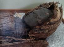 Ancient Chinchorro mummies that have been preserved for over 7,000 years are gradually turning into black ooze.