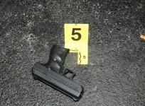 Gun