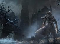 Bloodborne co-op fix