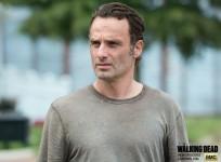 The Walking Dead