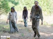 The Walking Dead