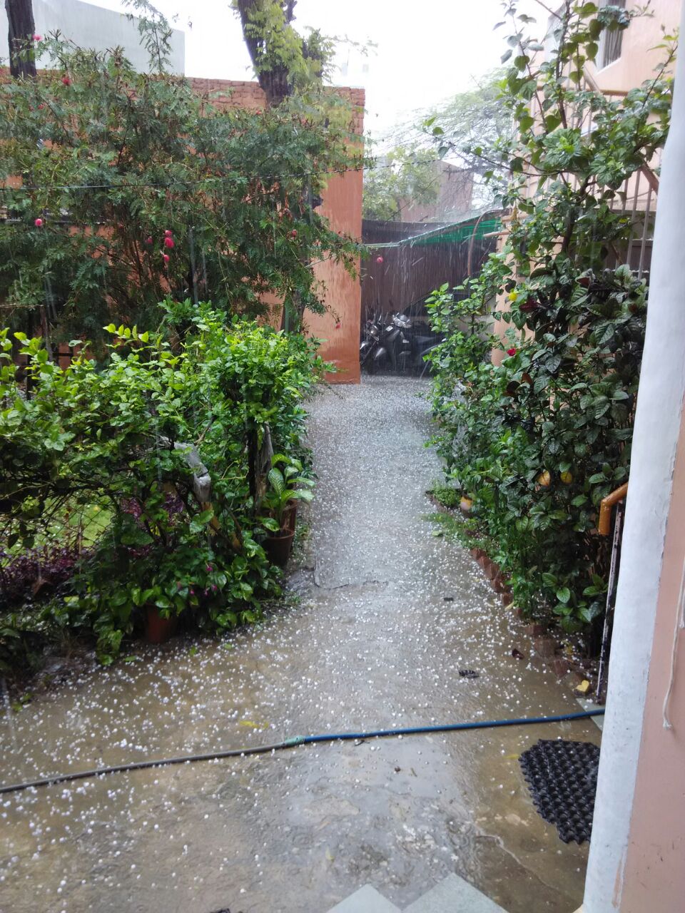 In Photos: Hail Storm Across India