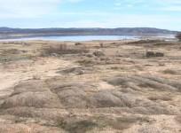 california-announces-1bn-drought-package