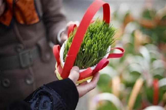 A woman buys a potted plant during New Year shopping on a street near a bazaar in northern Tehran, on March 20, 2010 A woman buys a potted plant during New Year shopping on a street near a bazaar in northern Tehran, on March 20, 2010