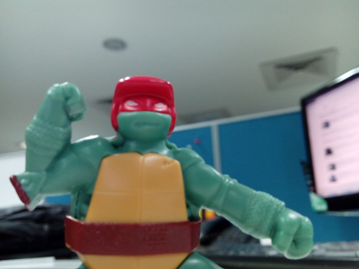 Infocus M2 front camera image sample