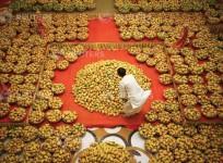 mangoes