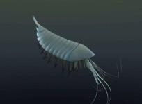 yawunik-kootenayi-508-million-year-old-mayhem-lobster-discovered-in-canada