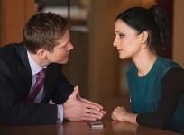 The Good Wife
