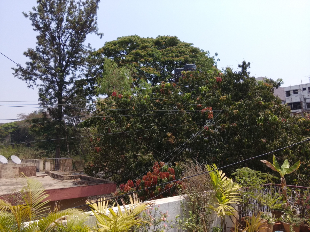 Xiaomi Mi Pad Image Sample- 1