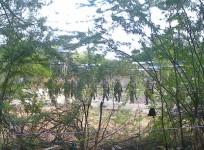 Kenya attack